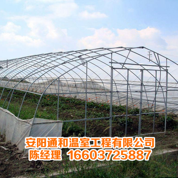 简易大棚骨架