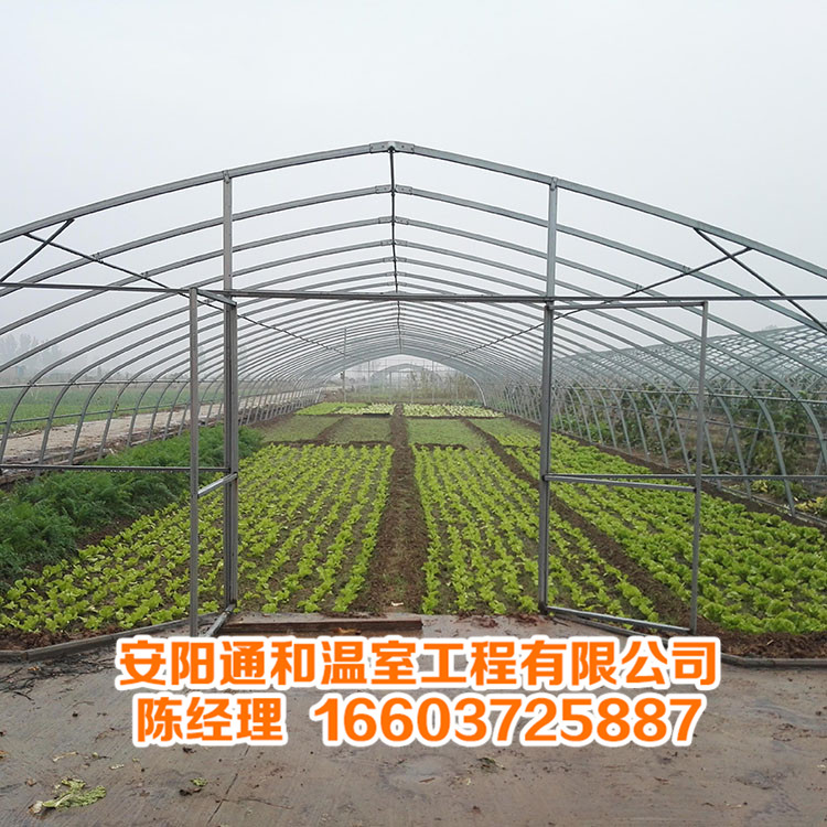 蔬菜大棚骨架