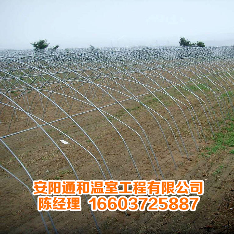 双层套棚大棚骨架