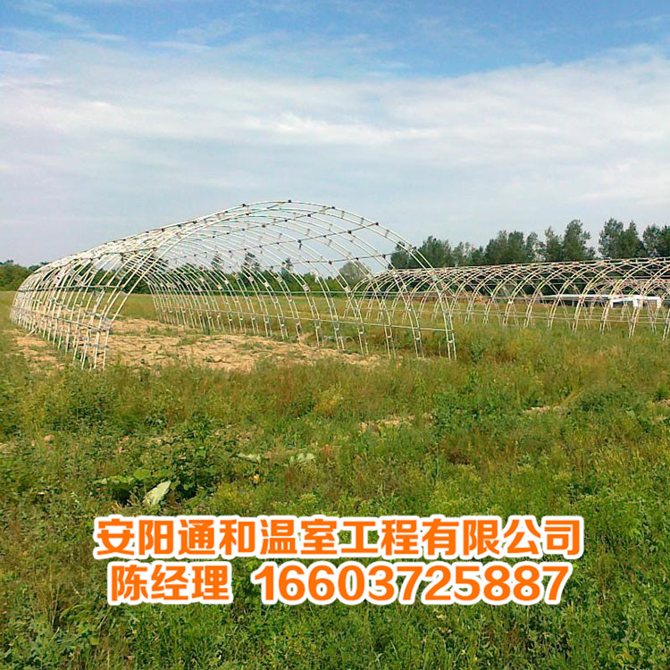 双梁大棚骨架