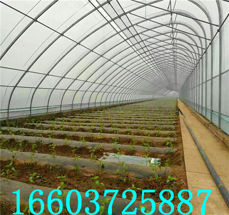 温室大棚25
