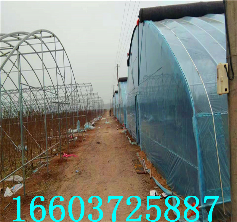 温室大棚29