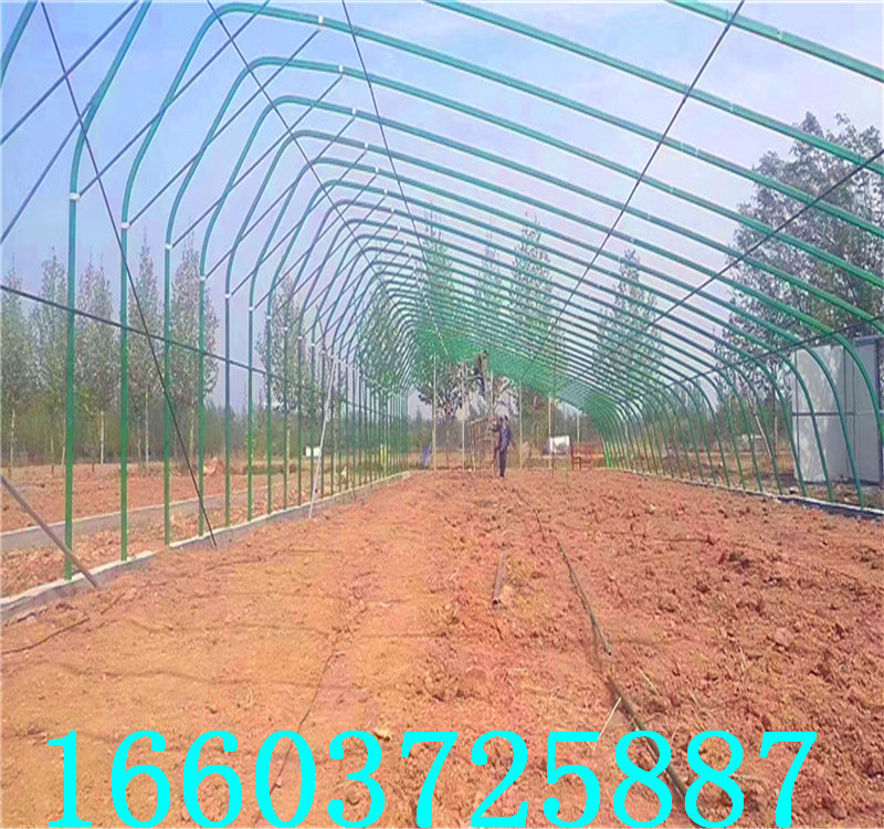 温室大棚35