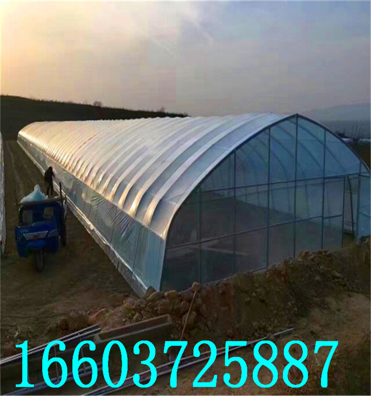 蔬菜大棚1