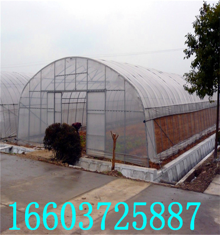 蔬菜大棚4