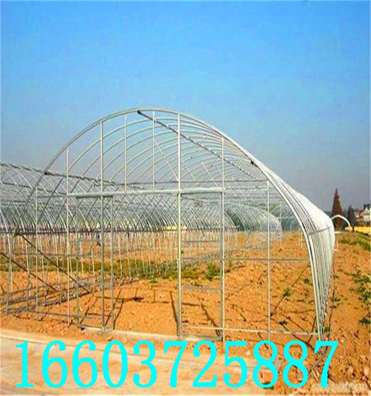 蔬菜大棚6