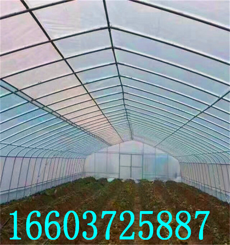 蔬菜大棚7