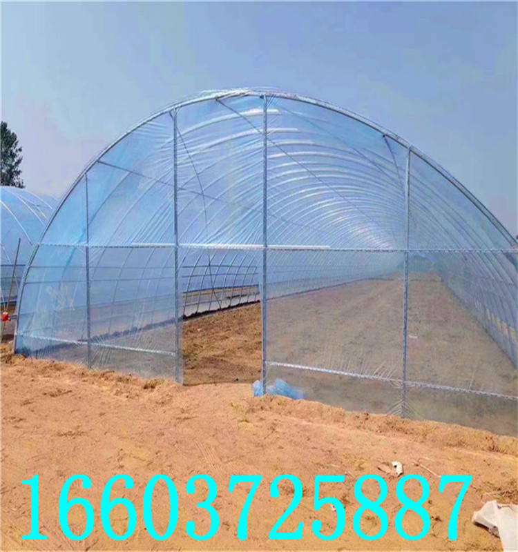 蔬菜大棚10