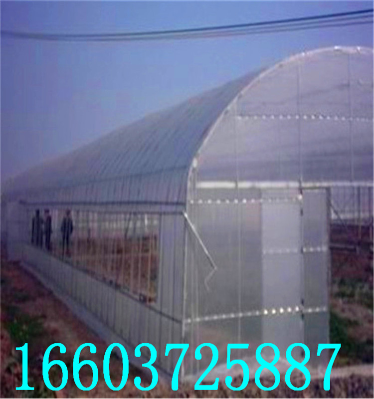 蔬菜大棚18