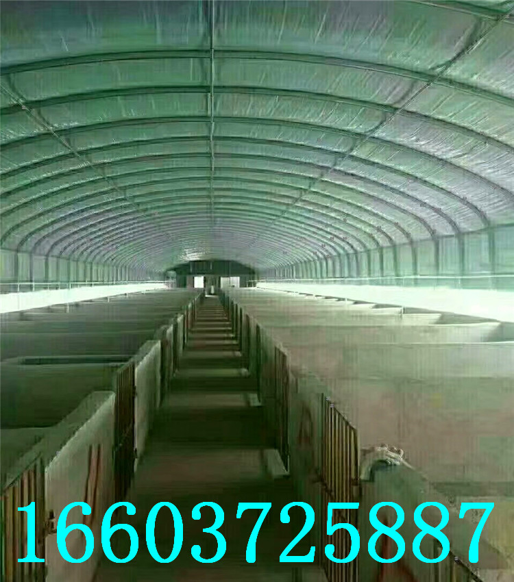 养殖大棚33