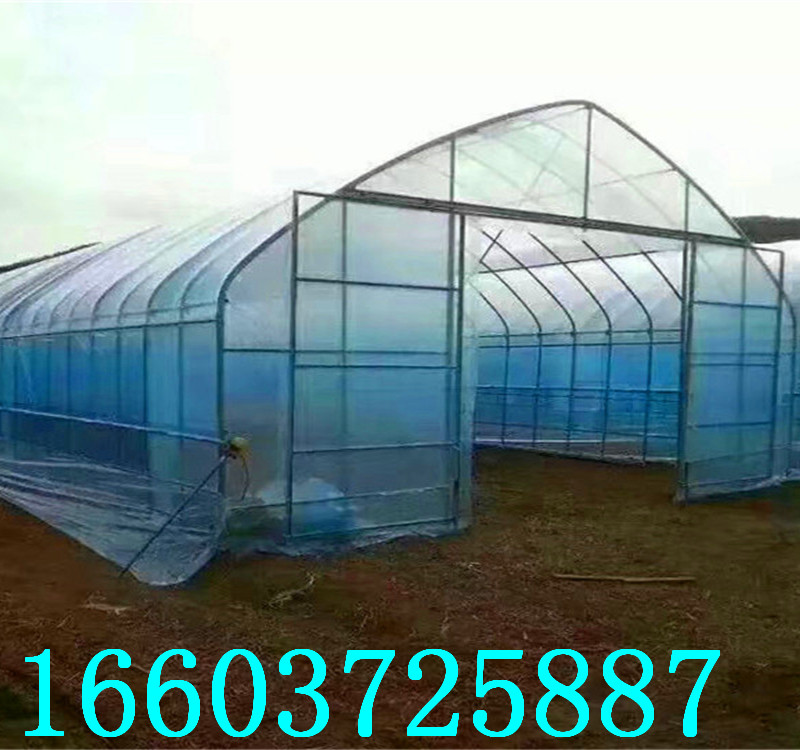 蔬菜大棚9