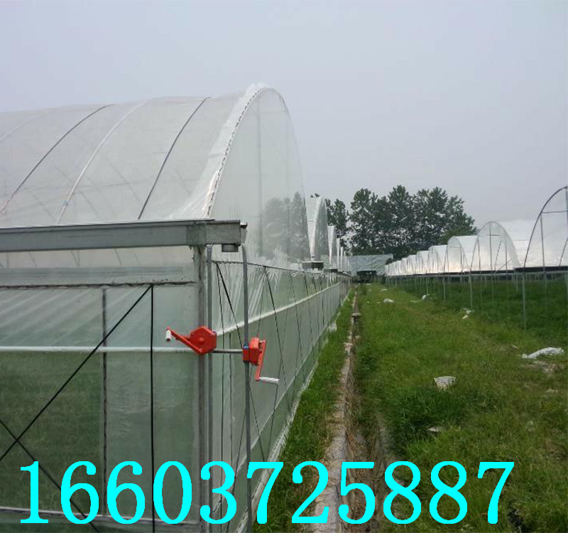 连体大棚40