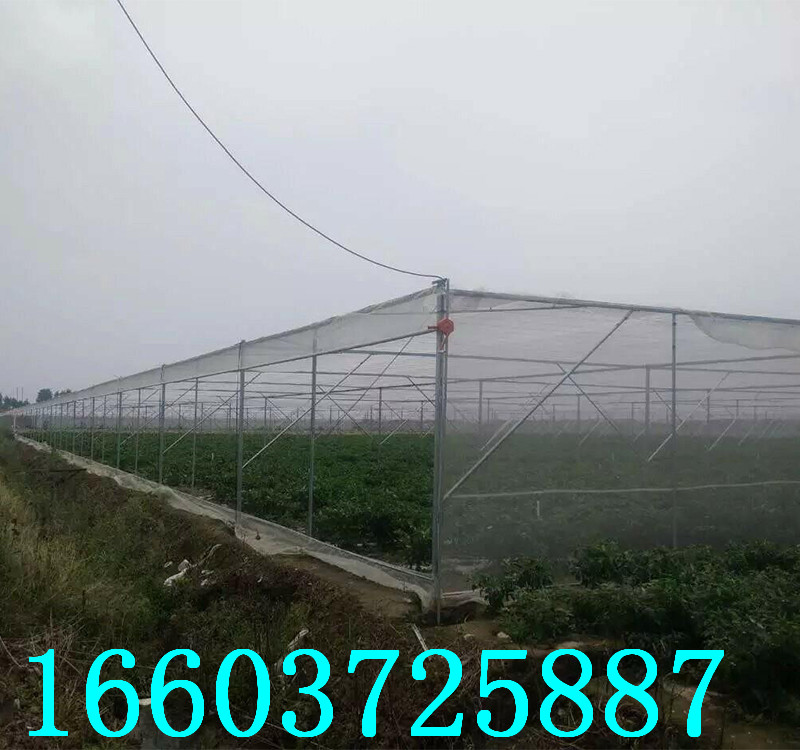 连体大棚36