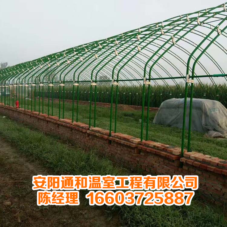 镀塑大棚