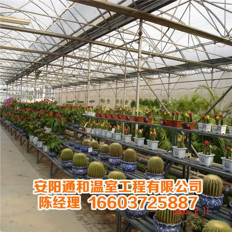 花卉大棚