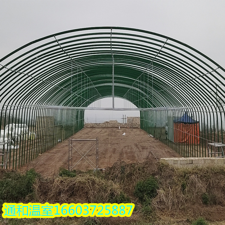镀塑散养鸭大棚
