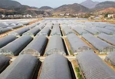 提高温室大棚温度的十一种方法